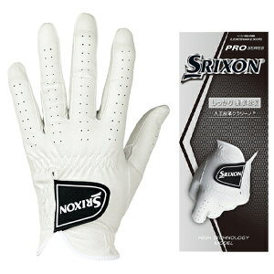 y[z yRpvgpfz _bv XN\ O[u GGG-S029 SV󃂃f(N[m) #DUNLOP/SRIXON/GGGS029#YSt