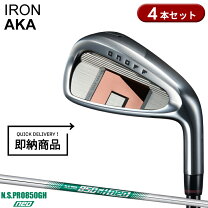 楽天市場】オノフ アイアン 赤 n．s．pro 950gh neoの通販