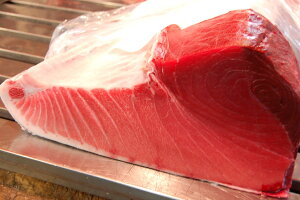 kCY@N}O@{}O@@Sʁ@ʂ蔄@1L̉i@8L12L@gAgAԐg̃ubN