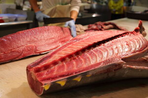 kCY@N}O@{}O@@ʂ蔄@1L̉i@8L12L@KS؂