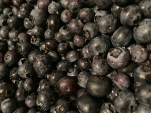 kC@_@u[x[@Ⓚ@2L i1LpbNj