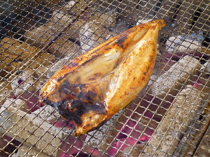 kC@kCYC`g@g^zbPJ6@y}Ⓚz