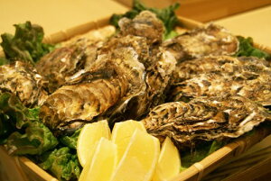 kC/HP/y 3L 30/i180g`230gjO