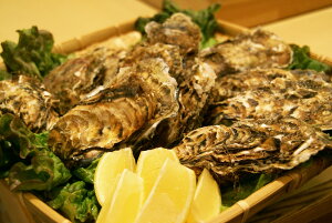 kC/HP/y 3L 20/i180g`230gjy̓Ac}Y