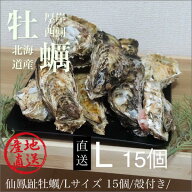 北海道/釧路町仙鳳趾/殻付牡蠣 L15個/（100〜130g目安）旨い牡蠣