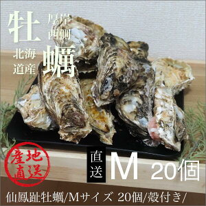 kty/kC/HP/y M20/i70`100gڈj