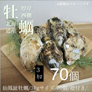 kCy P/y 3L&4L&8L