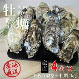 訳あり規格外牡蠣4kg/北海道/知内町/生牡蠣/殻付き/生食用/