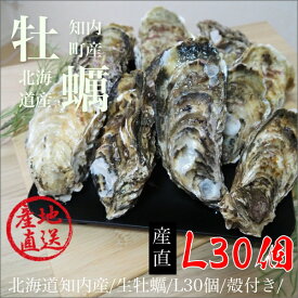 北海道知内産/生牡蠣/L30個/殻付き/生食用（140〜190g目安）/旨い牡蠣