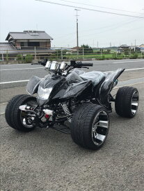 バギー　ATV カスタム　　12インチ新車　5/10入荷