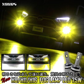 楽天市場 本日10 Offクーポン配布中 新型トヨタ車専用純正フォグランプ交換用ledバルブ ホワイト イエロー 車検対応 視認性抜群 スバル ダイハツ レクサス一部対応 カローラクロス 80ハリアー ヤリスクロス等 カスタム 2 Auto Shop ユアーズ 楽天市場 本日10 Offクーポン配布中 新型トヨタ車専用純正フォグランプ交換用ledバルブ ホワイト イエロー 車検対応 視認性抜群 スバル ダイハツ レクサス一部対応 カローラクロス 80ハリアー ヤリスクロス等 カスタム 2 Auto Shop ユアーズ