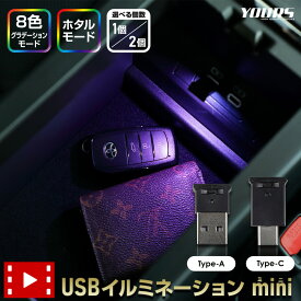 【事前告知! 30日は30％OFF!】USBイルミネーション mini type-A type-C 選べる個数［1個/2個］ ライト LEDイルミ 間接照明 照明 ランプ 手元 足元 フットランプ USB グラデーション 新型 アルファード ヴェルファイア プリウス N-BOX JF5 JF6 [2]