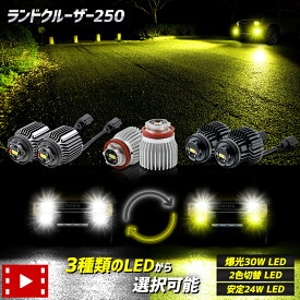 ランドクルーザー 250 適合 純正フォグランプ交換用LEDバルブ 選べる3タイプ [30W ホワイト] [2色切替] [24W ホワイト/イエロー] L1B フォグランプバルブ 明るい LAND CRUISER ランクル 250系 トヨタ TOYOTA [1]
