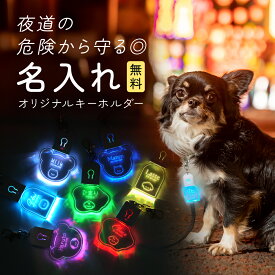 キーホルダー 光る お散歩ライト 迷子札 名入れ 名前入り 名前入れ お名前 電話番号 誕生日 刻印 LED ネームプレート ペットタグ ネームタグ ペット 犬 愛犬 うちの子 オリジナル 名札 ドッグタグ 犬 散歩 夜 交通安全 事故防止 目印 点滅ライト USB充電 プレゼント ギフト