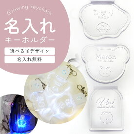 光る キーホルダー 名入れ 名前入り 通学 ランドセル LED ネームプレート 幼稚園 通園バッグ ネームタグ 夜道 交通安全 事故防止 目印 点滅ライト セーフティライト 名前入れ お名前 電話番号 誕生日 刻印 オリジナルグッズ キャラクター 犬 名札 USB充電 プレゼント ギフト
