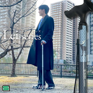   y Lk 1{  j t@bV XebL  ȃfUC |bv N[ 킢 @JCC  Ⴂ s⏕ nr Mtg I[uNG