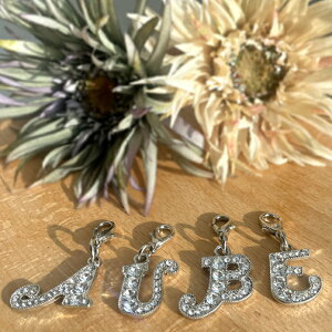 ANZT[ CjV*NX^`[ p 킢 LL  ܂肽ݏ XebL  IWi ʗX385~ł̔