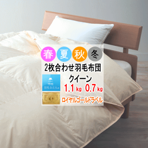 Hѕzc NC[ NB[ 2킹 zc |zc zCg_E CS[hx 400dpȏ yʐn I[V[Y {yP2z