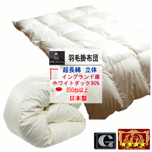 Hѕzc |zc COhYzCg_bN 90% _E GNZS[hx 350dpȏ  100% {yP2z