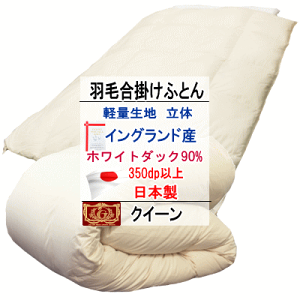 Hѕzc NC[ NB[ |zc COhYzCg_bN 90% _E GNZS[hx EHbVu yʐn {yP2z