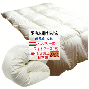 Hѕzc |zc nK[YzCgO[X_E O[X GNZS[hx  100% { yP2z