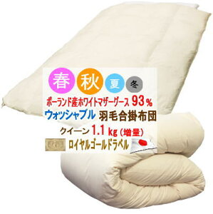 �H�ѕz�c �N�C�[�� �N�B�[�� ���|�z�c �|�[�����h�Y�z���C�g�}�U�[�O�[�X ���C�����S�[���h���x�� �E�H�b�V���u�� �􂦂� �}�U�[�O�[�X ���� ���{���yP2�z