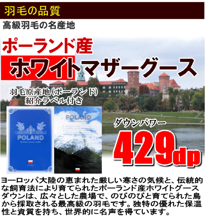 楽天市場】【送料無料】羽毛布団 シングル 日本製 羽毛 ポーランド産ホワイトマザーグースダウン 大増量 1.5kg 二層キルト ダウンパワー 429dp ロイヤルゴールドラベル【P2】 : Living days 楽天市場】【送料無料】羽毛布団 シングル 日本製 羽毛 ポーランド産ホワイトマザーグースダウン 大増量 1.5kg 二層キルト ダウンパワー 429dp ロイヤルゴールドラベル【P2】 : Living days