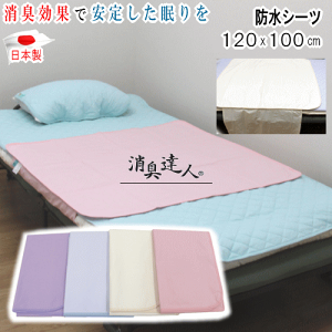 �V�[�c �h���V�[�c ���L�B�l 120x100cm ���L ��� �ݑ��� 13����L ���{�� �ċz���Q��