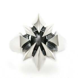 シルバーリング シルバーアクセサリー シルバー925 ダイオプサイト×シルバーリング 大人アクセ D.four・ディーフォー DF-008