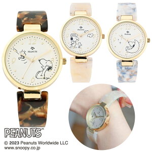 rv oOEHb` Xk[s[ PEANUTSis[ibcjv ANoOEHb`Y PNT038 tB[h[N Field work