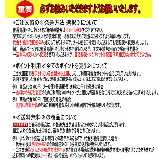 アンクルビルシルバークロスミニ/銀磨きゆうパケット対応