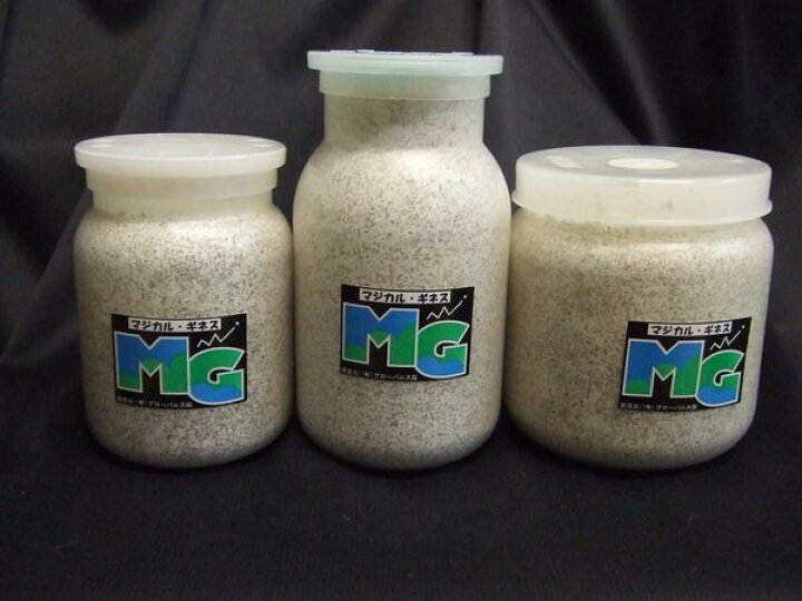 市場 マジカルギネス菌糸ボトル mg1400ccb1本ブナ粗粒子ボトル 菌糸ビン 市場 マジカルギネス菌糸ボトル mg1400ccb1本ブナ粗粒子ボトル 菌糸ビン