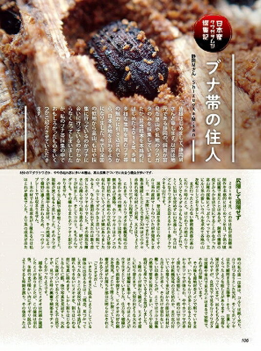楽天市場】絶賛発売中!ポイント3倍!送料無料!代引き不可!ビークワ85号 BE-KUWA85号 : 株式会社171楽天市場店 楽天市場】絶賛発売中!ポイント3倍!送料無料!代引き不可!ビークワ85号 BE-KUWA85号 : 株式会社171楽天市場店
