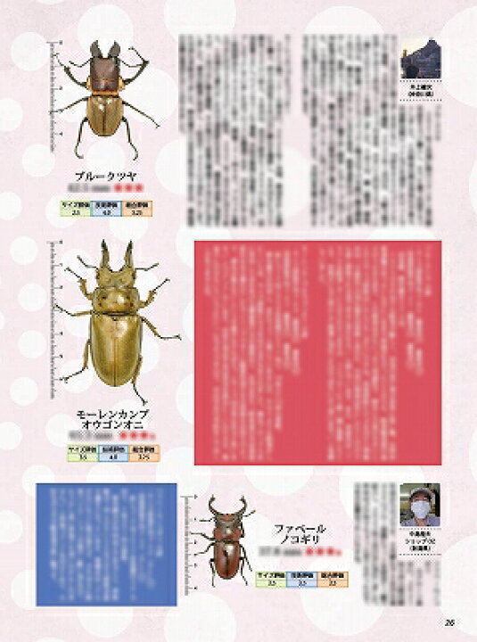 楽天市場】絶賛発売中!ポイント3倍!送料無料!代引き不可!ビークワ85号 BE-KUWA85号 : 株式会社171楽天市場店 楽天市場】絶賛発売中!ポイント3倍!送料無料!代引き不可!ビークワ85号 BE-KUWA85号 : 株式会社171楽天市場店
