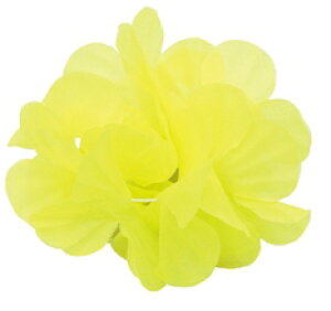 ͂Ȃ̂łmԂ̘rցn@i13cmj2g@S8FylR|XΉ20g܂Łz