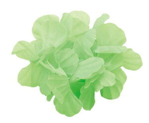 ͂Ȃ̂łmԂ̘rցn@i10cmj2g@S8FylR|XΉ20g܂Łz