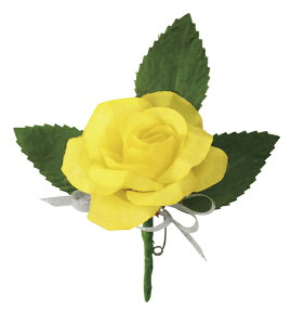 RT[W@~jomobW܂̓|Pbgɍރ^CvniSstjylR|XΉ10܂Łz