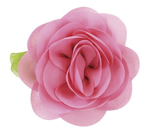 RT[W@obWmobW^CvniSstjylR|XΉ20܂Łz