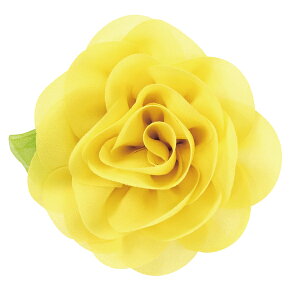 RT[W@obWmobW^CvniSstjylR|XΉ20܂Łz