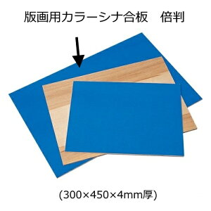 ŉpJ[Vi@{(300×450×4mm)@ЖʃJ[(FF)