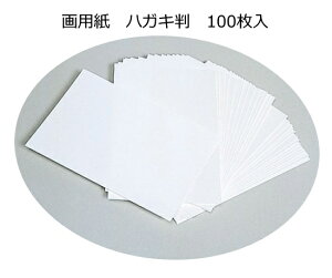 p@nKL@100