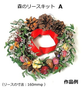 クリスマス リース キットの通販 価格比較 価格 Com