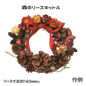 手作りクリスマスリースキット 森のリースキット A 手づくり リースセット イベント 親子 玄関 壁掛 工作 Xmas 大量購入可 自然物 自然素材