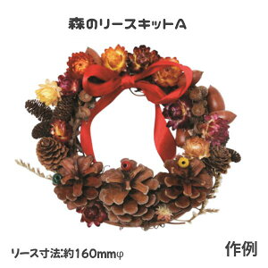 NX}X[XLbg X̃[XLbg A Â [XZbg Cxg eq  Ǌ| H Xmas ʍw R Rf