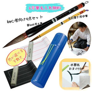  Zbg w j̎q ̎q K   SҌ4_Zbg ߗpM(P6){M+~(tFgr)+~P[X T[rX x鐅