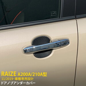 yTSALE P10{z lCI g^ CY RAIZE/bL[ A200A/210A^ 2019N11` hAmuA_[Jo[ hAnhA_[veN^[ VR Ђh~ B 