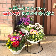 【母の日】【誕生日】ボリュームLサイズ「季節の花 デザイナー 寄せ植え おまかせ」ギフト 春 初夏 花 人…