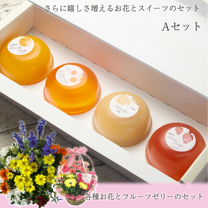 楽天市場 ボリューム感のある 季節の花 デザイナー 寄せ植え 母の日 87naviブランド お誕生日 プレゼント 自宅 玄関 ギフト 入門 初心者可 鉢花 鉢植え 花苗 ベランダ アレンジメント フラワー 喜ばれる 良苗セット お祝い 冬 春 4月 5月 6月 贈答 ホワイトデー 父の日