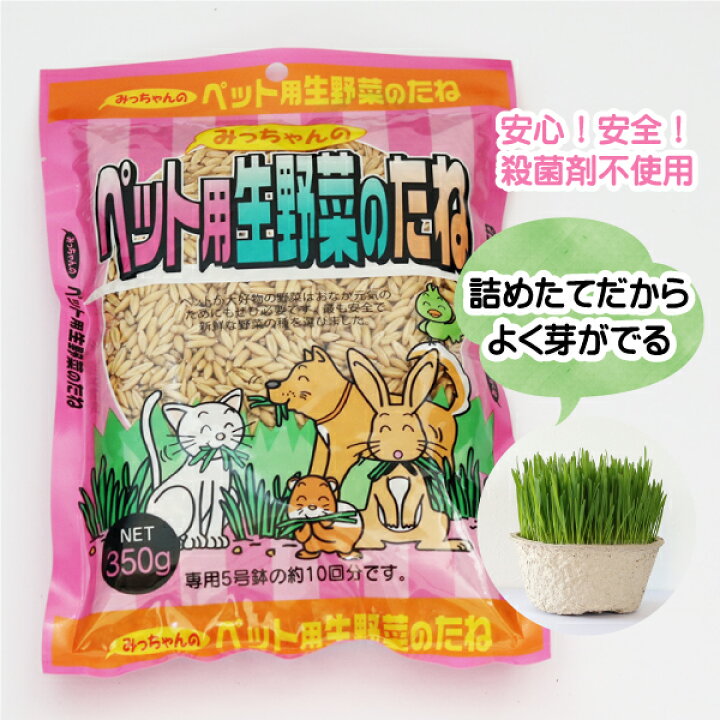 楽天市場 生産直売特価 無農薬種子 高発芽率種子 猫草の種 犬草の種 徳量350ｇ コンビニ受取対応商品 ペットグラス 犬用 猫用 えん麦 エン麦 燕麦 草 種 ペットグッズ ペットフード キャットフード ドッグフード おやつ 毛玉ケア 食物繊維 ８７ｎａｖｉ