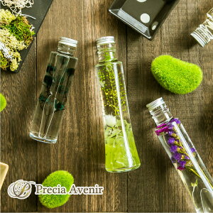 y{BzyMtgΉzn[oEhPrecia AvenirhyvU[uh@hC[ AWg v[g a NX}X N@zj Vzj jzyr ԍ 